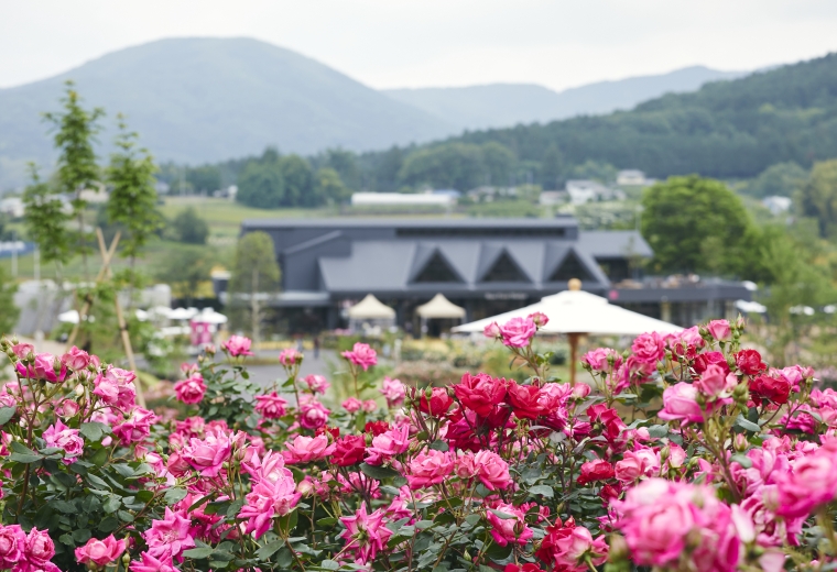 Ibaraki Flower Park