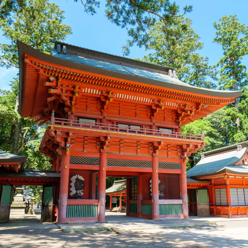 傳統 Spot Image 01